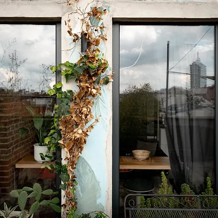 Small Rooftop * Belgrade